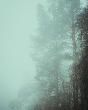 Image post by @kpearsonmedia on Instagram