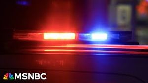 Video post by @msnbc on YouTube