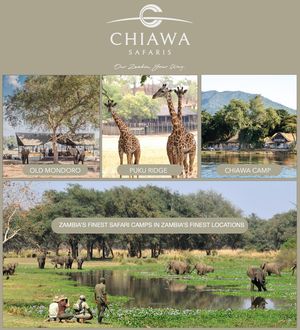 Image post by @chiawasafaris on Instagram