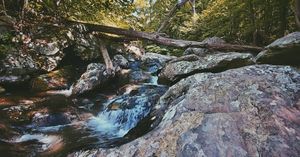 Image post by @brandonberrymedia on Instagram