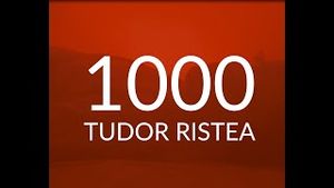Video post by @Tudor Ristea on YouTube