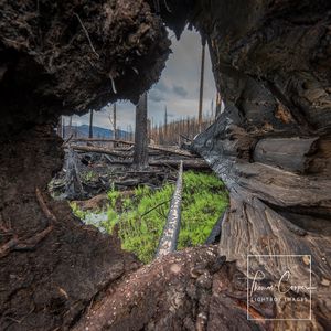 Image post by @lightboximages on Instagram