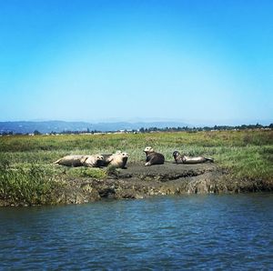 Image post by @stanfordwcrew on Instagram
