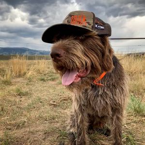 Image post by @10thmtnwhiskey on Instagram