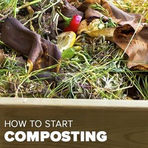 Image post by @kidsgardening on Instagram