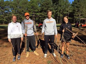 Image post by @campbell_wgolf on Instagram