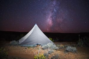 Image post by @mayasinghphotos on Instagram