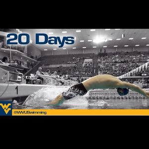 Image post by @wvuswimdive on Instagram
