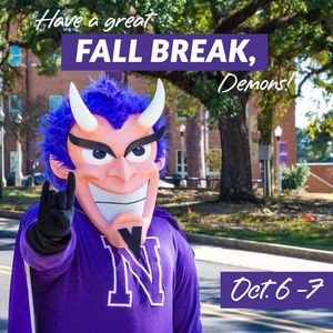 Image post by @nsula on Instagram
