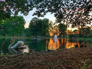 Image post by @elonuniversity on Instagram