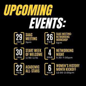 Image post by @lbsusaac on Instagram