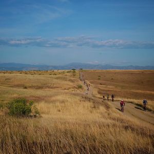 Image post by @focofondo on Instagram