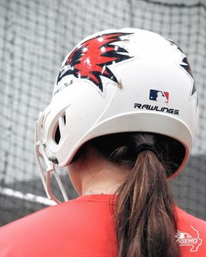 Image post by @semoredhawks on Instagram