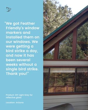 Image post by @featherfriendly on Instagram