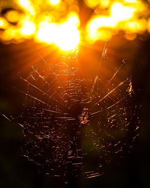 Image post by @jackportunephotography on Instagram