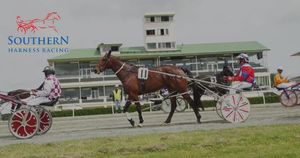 Image post by @NZHorseAmbulanceTrust on Facebook