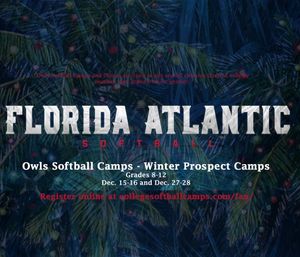 Image post by @fausoftball on Instagram