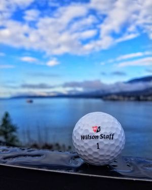 Image post by @wilsongolfcanada on Instagram