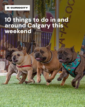 Image post by @curiocitycalgary on Instagram