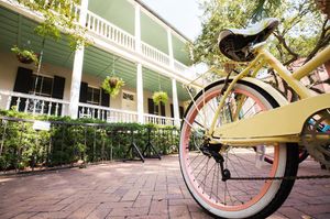 Image post by @collegeofcharleston on Instagram