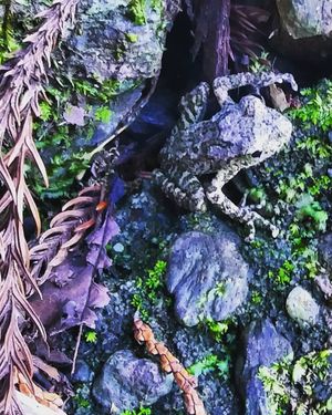 Image post by @mmhammond on Instagram
