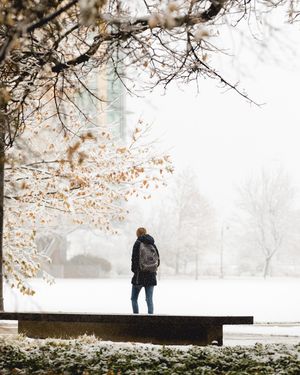 Image post by @usuaggielife on Instagram