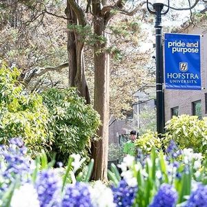 Image post by @hofstrau on Instagram