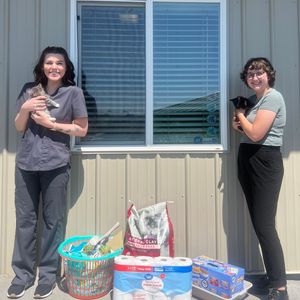 Image post by @whitmanpets on Instagram