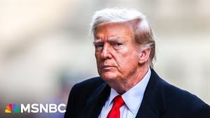 Video post by @msnbc on YouTube