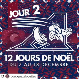 Image post by @mtlalouettes on Instagram