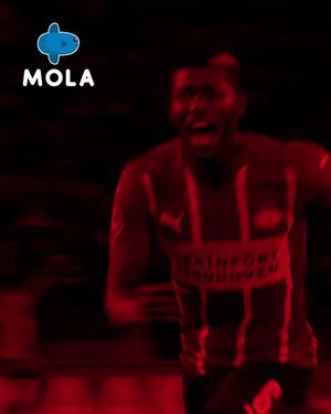 Image post by @mola.sport on Instagram