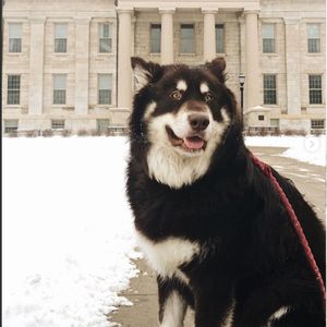 Image post by @iowaadmissions on Instagram