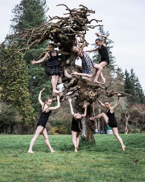 Image post by @premiere_dance_center on Instagram