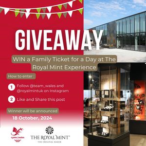 Image post by @team_wales on Instagram