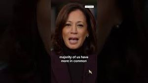 Video post by @msnbc on YouTube