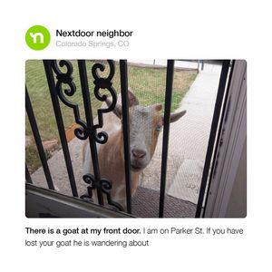 Image post by @nextdoor on Instagram