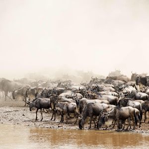 Image post by @discovery on Instagram