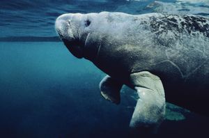 Image post by @discovery on Instagram