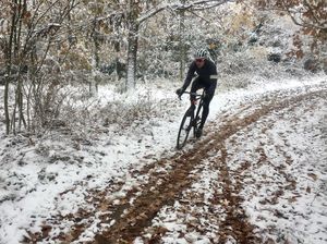 Image post by @bikerumor on Instagram