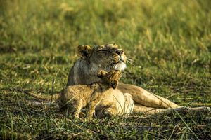 Image post by @natgeo on Instagram