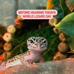 Image post by @petsmart on Instagram