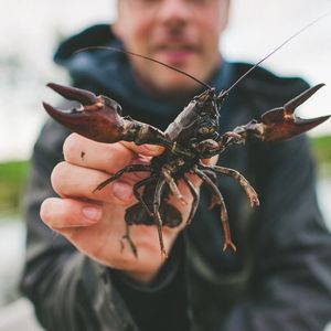 Image post by @lafishfry on Instagram