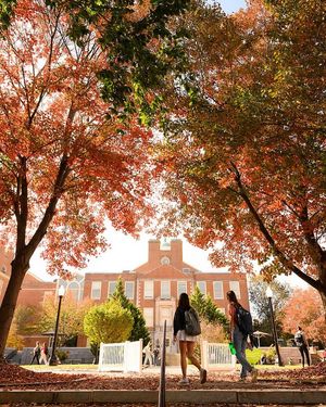 Image post by @wfuniversity on Instagram