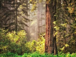 Image post by @nationalparkspartnership on Instagram