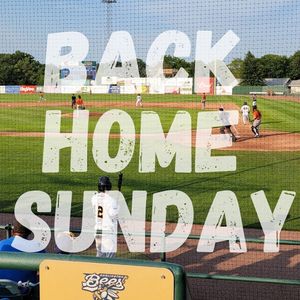 Image post by @burlington_bees on Instagram