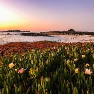 Image post by @pebblebeachresorts on Instagram