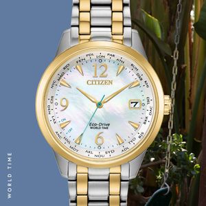 Image post by @citizenwatchus on Instagram
