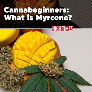 Image post by @hightimesmagazine on Instagram
