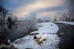 Image post by @dinahmariephotography on Instagram