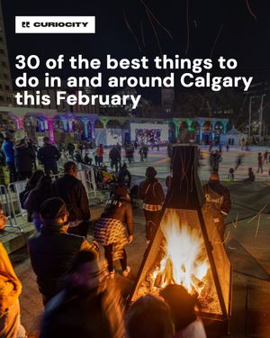 Image post by @curiocitycalgary on Instagram